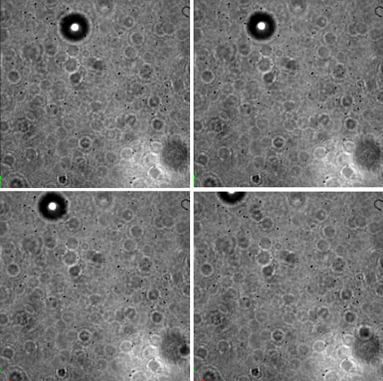 1762485934387735.png 搜狗高速浏览器截图20251107094013.png