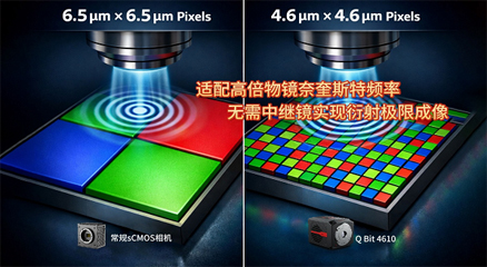 sCMOS相机在细胞生物学成像中的关键技术与系统应用